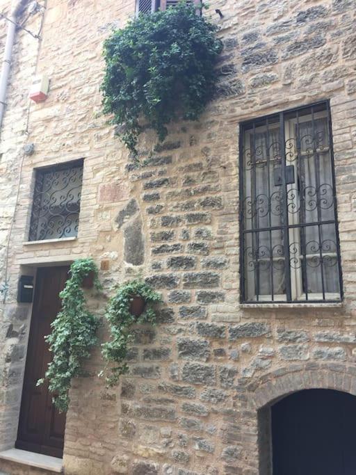 Appartamento Incantevole In Pieno Centro Storico Ассизи Экстерьер фото